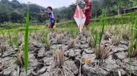 Foto : ayobandung.com