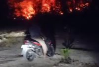 Kebakaran menghanguskan lahan pertanian dan semak di Desa Tanjung Sari, Kecamatan Natar, Lampung Selatan.