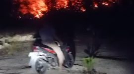 Kebakaran menghanguskan lahan pertanian dan semak di Desa Tanjung Sari, Kecamatan Natar, Lampung Selatan.