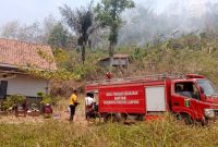 Petugas Damkar Posko Margodadi berusaha memadamkan api yang membakar Bukit Tanjung Mas di Dusun Jati Renggo, Pekon Waluyo Jati, Kecamatan Pringsewu, Kabupaten Pringsewu, Lampung
