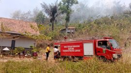 Petugas Damkar Posko Margodadi berusaha memadamkan api yang membakar Bukit Tanjung Mas di Dusun Jati Renggo, Pekon Waluyo Jati, Kecamatan Pringsewu, Kabupaten Pringsewu, Lampung
