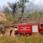 Petugas Damkar Posko Margodadi berusaha memadamkan api yang membakar Bukit Tanjung Mas di Dusun Jati Renggo, Pekon Waluyo Jati, Kecamatan Pringsewu, Kabupaten Pringsewu, Lampung
