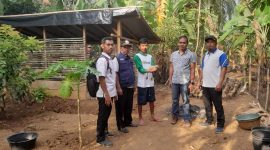 Keterangan foto: Salah satu penerima manfaat Program Bantuan Bibit Itik Petelur dari Dinas Ketahanan Pangan dan Pertanian Pemkab Pesibar.
Foto Joni Irawan, Kabar Indonesia