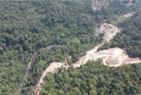 Dugaan kerusakan lingkungan yang diduga terjadi akibat aktivitas pembangunan PLTMH Way Melesom, Kecamatan Lemong, Kabupaten Pesisir Barat. Foto: Dokumen Warga