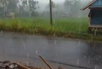 Hujan mengguyur wilayah Kecamatan Sukau 25 menit setelah warga selesai melakukan Shalat Istisqa'. Tangkapan Layar: Haeruel Abadi, kabarindonesia.co