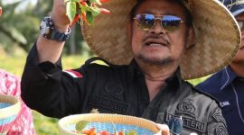 Menteri Pertanian RI, Syahrul Yasin Limpo.   Foto: Instagram Syahrul Yasin Limpo