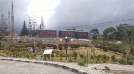 Kebun Raya Liwa. Foto: Haerul Abadi, Kabar Indonesia