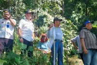 Bupati Pesisir Barat, Agus Istiqlal didampingi jajaran meninjau irigasi Way Laay Kiri yang jebol. Foto: Joni Irawan, Kabar Indonesia.