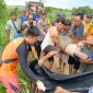 Tim SAR berhasil menemukan jasad Andre Sebastiyan (16) yang tenggelam di Sungai Kali Miring, Tiyuh Wonokerto, Tulang Bawang Barat pada Sabtu (13/1/2024). Foto: Andi Rahman, Kabarindonesia.co