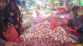 Curah hujan yang tinggi menyebabkan suasana Pasar Sampot, Pekon Padang Cahya, Kecamatan Balik Bukit, Kabupaten Lampung Barat yang sepi dari pembeli dan menyebab omset pedagang menurun drastis pada Jum'at (13/1/2024). Foto: Haeruel Abadi, Kabarindonesia.co