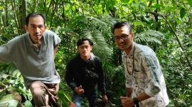 Bunga Raflesia mekar di Desa Baru Manis, Kecamatan Bermani Ulu, Kabupaten Rejang Lebong pada Jum'at (19/1/2024). Foto: Yayan Hardian, Kabarindonesia.co