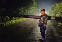 Hujan deras pada Selasa (02/01/2024) menyebabkan tiang listrik roboh di Kecamatan Sumberjaya dan mengakibatkan listrik padam dan arus lalu lintas kendaraan di jalan lintas Sumberjaya-Liwa kendaraan harus memutar melalui Kecamatan Air Hitam, Lampung Barat. Foto: Agustian Sani, Kabar Indonesia.