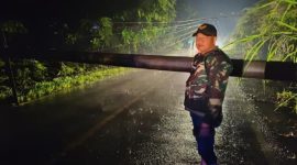 Hujan deras pada Selasa (02/01/2024) menyebabkan tiang listrik roboh di Kecamatan Sumberjaya dan mengakibatkan listrik padam dan arus lalu lintas kendaraan di jalan lintas Sumberjaya-Liwa kendaraan harus memutar melalui Kecamatan Air Hitam, Lampung Barat. Foto: Agustian Sani, Kabar Indonesia.