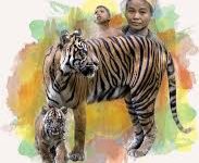Ilustrasi konflik manusia dan harimau