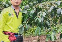 Petani kopi asal Kabupaten Lebong, Dezon Sanjaya. Foto: N. Sastro, Kabarindonesia.co