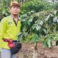 Petani kopi asal Kabupaten Lebong, Dezon Sanjaya. Foto: N. Sastro, Kabarindonesia.co