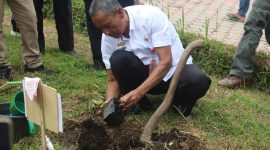 Asisten II Bidang Perekenomian dan Pembangunan Kabupaten Lampung Barat, Wasisno Sembiring menanam bibit Durian Tumi di Kebun Raya Liwa pada Kamis (7/3/2024). Foto: Haeruel Abadi, Kabarindonesia.co