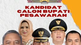 Tiktok : @Lampung.crime