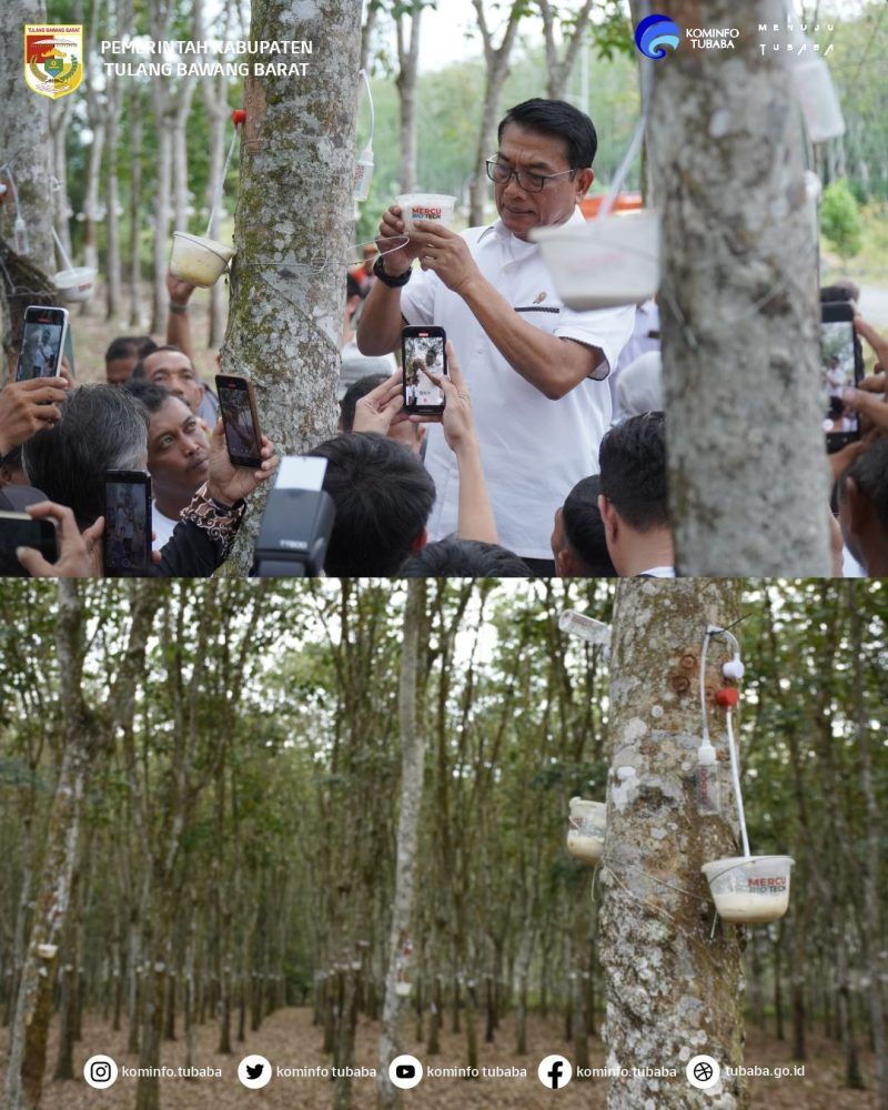 Di hadapan warga dan jurnalis, Moeldoko mengangkat mangkuk penampung karet hasil kebun rakyat di Tulang Bawang Barat pada Senin (13/5/2024). Foto: Andi Rahman, Kabarindonesia.co