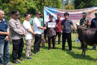 Pemerintah Pekon Biha merealisasikan bantuan berupa indukan sapi kepada kelompok tani, nelayan dan kelompok adat pada, Jum'at (10/05/2024).
