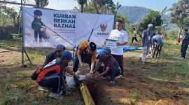 Prosesi Penyemblihan Hewan Qurban, Way Mengaku 19/06/2024