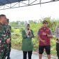 Kepala BSIP Jestro, Dr. Nurdiah Husnah menghadiri penanaman padi bersama dalam rangka Mendukung Program Ketahanan Pangan di Wilayah Komando Rayon Militer (KORAMIL) 0818/14 Turen yang diinisiasi oleh Komando Resort Militer (KODIM) 0818/Malang-Batu.