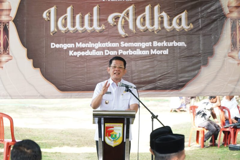 M Firsada, menghadiri Pelaksanaan Pemotongan Hewan Kurban yang berlangsung di Halaman Kantor Pemda Kabupaten setempat. Rabu (19/06/2024).